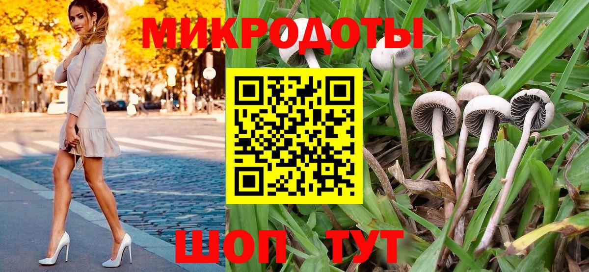 Галлюциногенные грибы Magic Shrooms Мурино