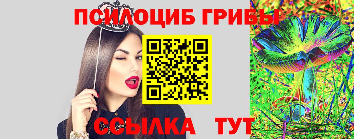 Мурино  Псилоцибиновые грибы прущие грибы  Галлюциногенные грибы мицелий  Вход с VPN 