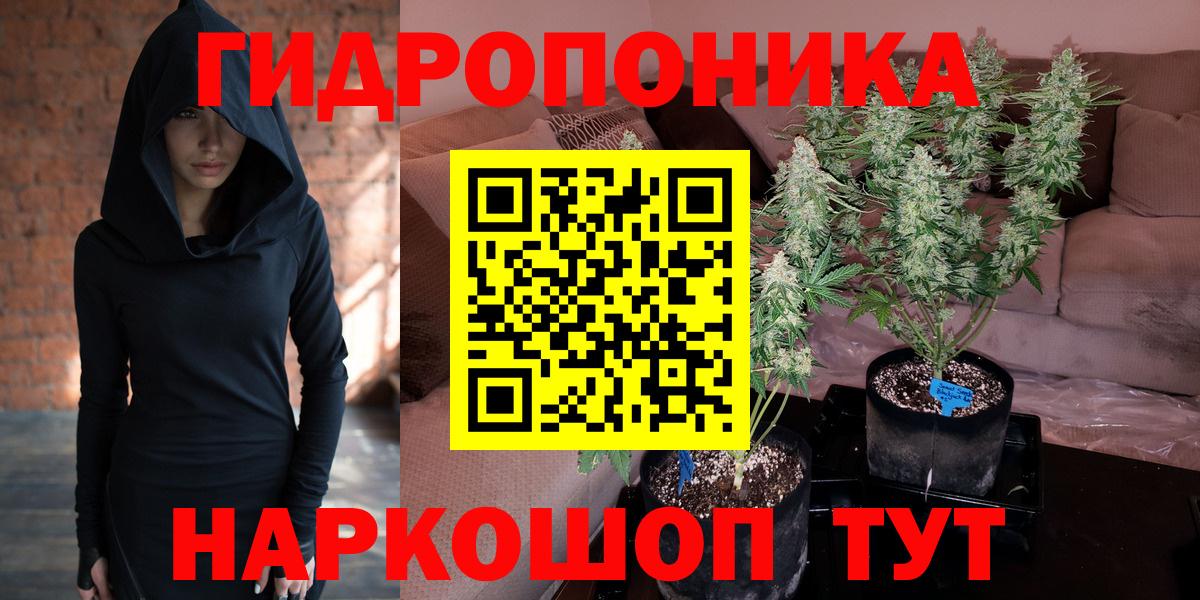 Канабис AK-47  Канабис план  Мурино  Вход с VPN  Конопля Ganja 